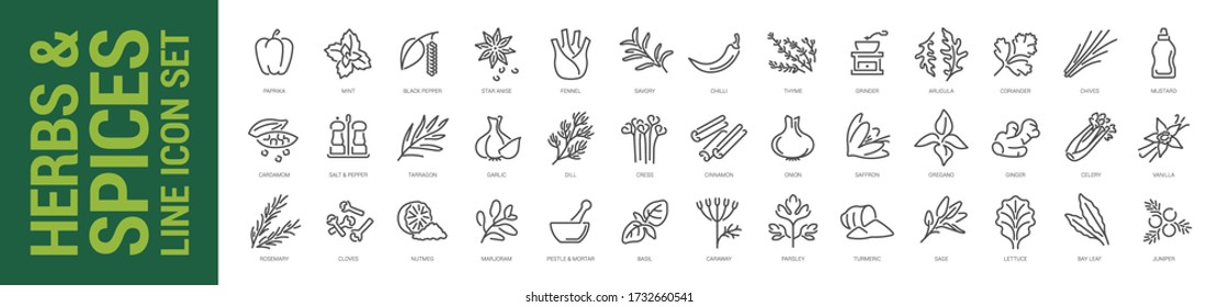 Herbs & Spices Line Icon Set. Vector Isolated Outline Illustration. Collection