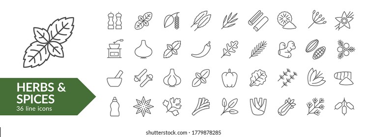 Herbs & spices line icon set. Isolated signs on white background. Vector illustration. Collection