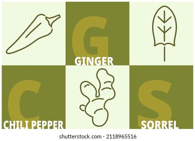 Herbs and spices line icon set. Chili pepper, ginger, sorrel signs with name text. Editable stroke symbols of food. 3 linear style olive colored design elements. Vector isolated