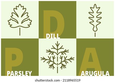 Herbs and spices line icon set. Dill, parsley, arugula signs with name text. Editable stroke symbols of food. 3 linear style olive colored design elements. Vector isolated