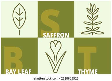 Herbs and spices line icon set. Saffron, bay leaf, thyme signs with name text. Editable stroke symbols of food. 3 linear style olive colored design elements. Vector isolated