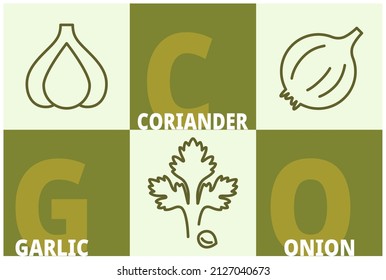 Kräuter und Gewürze Linie Symbol Set. Koriander, Knoblauch, Zwiebelschilder mit Namenstext. Bearbeitbare Schlagzeichen von Lebensmitteln. 3 Elemente in einem linearen Stil mit Olivenbäumen. Vektorgrafik einzeln