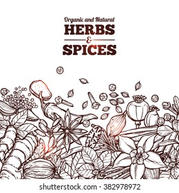 Herbs And Spices Monochrome Background With Place For Text