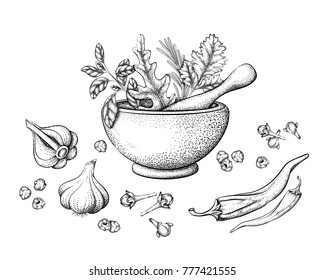 herbs and spices in a mortar and pestle graphic illustration isolated black outline on a white background for the menus of restaurants cafes as an element to decorate posters banners flyers