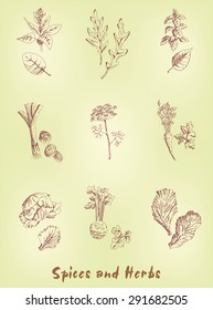 Herbs and Spices on a neutral background