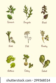 Herbs and Spices on a neutral background