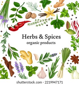 Hierbas y especias, productos orgánicos diseño plantilla de ilustración vectorial. Raíz vegetal de caricatura, semillas de especias, hoja de aroma para cocinar, ingrediente herbal para saborear los alimentos en el fondo de afiches