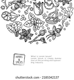 Herbs and spices packaging design template, drawn doodle elements in sketch style. Handwritten lettering. Cooking. Herbs and spices, nuts and roots. Logo in a trendy linear style.