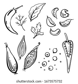 Hierbas y especias: pimienta, hoja de laurel, cebolla, ajo, perejil. Colección de bocetos en línea negra de verduras y hierbas aisladas en fondo blanco. Íconos de verduras dibujados a mano. Ilustración del vector