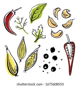 Hierbas y especias: pimienta, hoja de laurel, cebolla, ajo, perejil. Colorida colección de bocetos de verduras y hierbas aisladas en fondo blanco. Íconos de verduras dibujados a mano. Ilustración del vector
