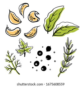 Hierbas y especias: pimienta, hoja de laurel, ajo, perejil, eneldo. Colorida colección de bocetos de verduras y hierbas aisladas en fondo blanco. Íconos de verduras dibujados a mano. Ilustración del vector