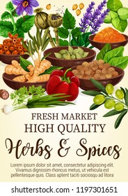 Herbs and spices poster with condiments in bowls. Ginger and cinnamon stars, bay leaves and lavender, olive and bell pepper. Piquant curry and mint, leek and parsley, poppy from market vector