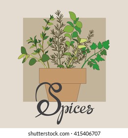 Herbs and spices in a pot vector illustration