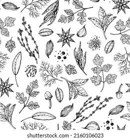 Herbs and spices seamless pattern. Hand drawn vector illustration. Aromatic plants. Hand drawn food sketch. Vintage illustration. Sketch style. Spice and herbs black and white design.