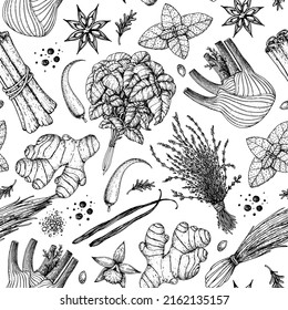 Herbs and spices seamless pattern. Hand drawn vector illustration. Sketch design. Engraved spice. Fennel, ginger, basil, anise, vanilla, cinnamon, chilli.