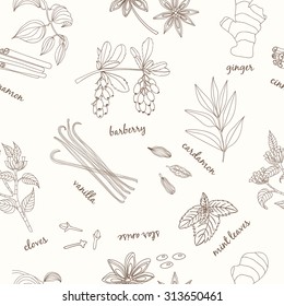 Herbs and Spices seamless pattern. Vector hand drawn illustration. Collection with Vanilla, cinnamon, barberry, cardamom, vanilla, cloves, peppermint, star anise and ginge