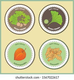 Herbs, spices and seasonings collection. Vector hand drawn illustration of a medicinal plants ginkgo biloba, ashwagandha and curcuma root. Label, price tag, sticker template