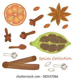 Herbs, spices and seasonings collection. Vector hand drawn illustration of  orange, cloves, cardamom, cinnamon and illicium
