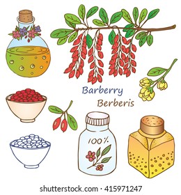 Herbs, spices and seasonings collection. Vector hand drawn illustration of a plant barberries and medical bottles with oil