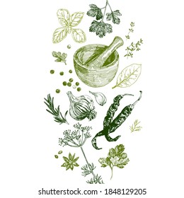 Herbs and spices set, culinary design template