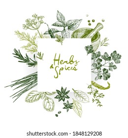 Herbs and spices set, culinary design template