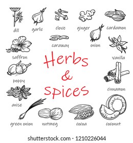 Herbs and spices set. Illustration in Linear Engraving Style. Hand drawn illustration. Spices for kitchen