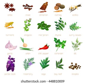 Herbs Spices Signed Names Big Set Stock Vector (Royalty Free) 448810009 ...