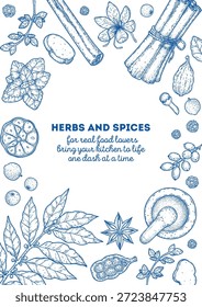 Esboço de ervas e especiarias. Desenho vetorial ilustração de ervas e especiarias Elementos desenhados à mão, Ideal para embalagem, branding e projetos culinários.