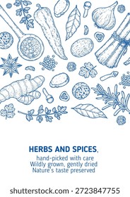 Esboço de ervas e especiarias. Desenho vetorial ilustração de ervas e especiarias Elementos desenhados à mão, Ideal para embalagem, branding e projetos culinários.