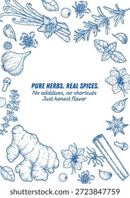 Esboço de ervas e especiarias. Desenho vetorial ilustração de ervas e especiarias Elementos desenhados à mão, Ideal para embalagem, branding e projetos culinários.