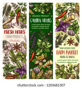 Herbs And Spices Vector Banners. Sketch Set Of Cinnamon, Basil Or Oregano Leaf For Salad Dressing, Onion Leek And Spicy Rosemary, Aroma Peppermint Or Lavender And Lemongrass With Tarragon And Arugula