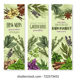 Herbs And Spices Vector Banners. Sketch Set Of Cinnamon, Basil Or Oregano Leaf For Salad Dressing, Onion Leek And Spicy Rosemary, Aroma Peppermint Or Lavender And Lemongrass With Tarragon And Arugula