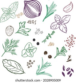 Herbs and spices vector doodle