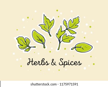 "Herbs and spices" vector doodle floral banner template on light background. Botany or cooking hand-drawn concept for posters, web design, advertising, interior decor.