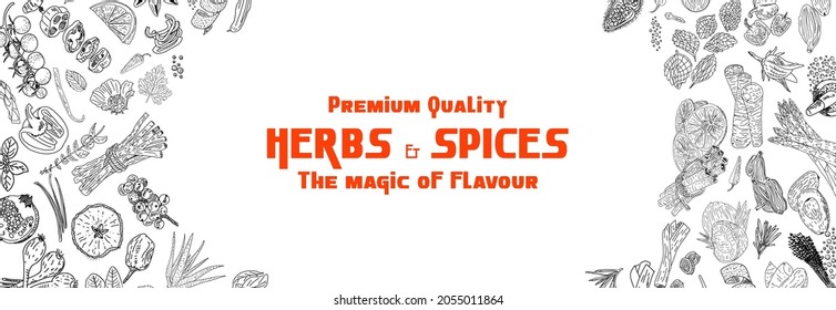 Herbs Spices vector hand drawn collection. Sketch kitchen herbs isolated. Design element for poster, menu, flyer, banner, package.