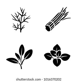 Herbs & Spices vector icons