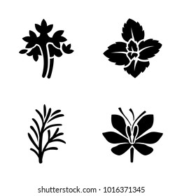 Herbs & Spices vector icons