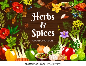 Herbs and spices vector poster with mint, poppy and dill, nutmeg, mustard and vanilla, shallots, ginger and chili with juniper berry. Coriander, saffron and fennel with curry leaves, lime and paprica