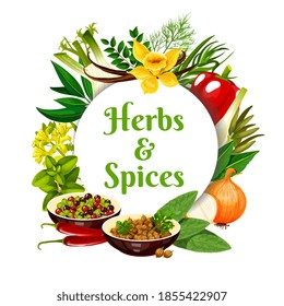 Herbs and spices vector round frame. Peppercorn, coriander, onion and bay leaves, bell pepper. Paprika, fennel with chili, vanilla or curry leaves and mustard, dill, sage and tarragon, rosemary banner