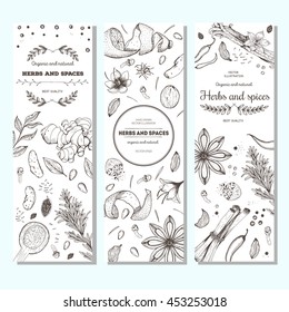 Herbs and spices vintage design template. Vertical banners set. Vector illustration hand drawn linear art.