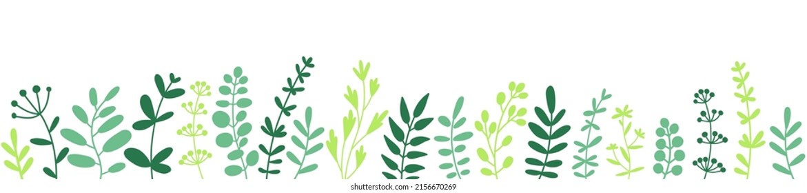 Herbs, twigs and leaves. Herbal border, horizontal bottom edging. Vector design element, flat illustration on white.