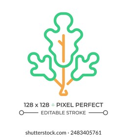 Herbs two color line icon. Plant food. Organic product. Healthy lifestyle. Natural seasoning bicolor outline symbol. Duotone linear pictogram. Isolated illustration. Editable stroke