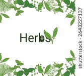 Herbs vector frame with hand-drawn green leaves and lettering. Botanical border illustration for packaging, labels, organic branding, recipes and eco design