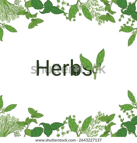 Herbs vector frame with hand-drawn green leaves and lettering. Botanical border illustration for packaging, labels, organic branding, recipes and eco design