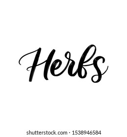 HERBS. VECTOR HAND LETTERING TYPOGRAPHY
