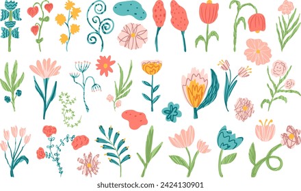 Herbs and Wild Flowers. Botany vector set. Vintage flowers.