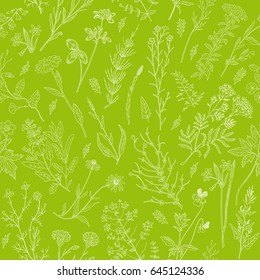 Herbs and wild flowers seamless pattern.