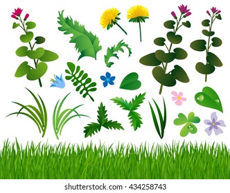 Herbs and wild flowers set isolated on white. Horizontal grass background. Vector Illustration