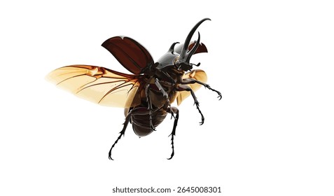Hercules Beetle (Dynastes Hercules) in High-Res Flight, Wings Fully Extended