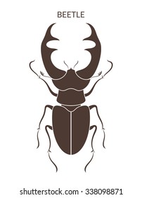 Hercules beetle. Isolated insect on white background. Vector illustration